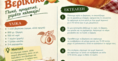 Γλυκό του κουταλιού βερίκοκο