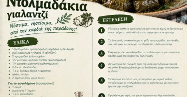 Ντολμαδάκια γιαλαντζί
