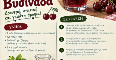 Βυσσινάδα